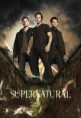 7 coisas que talvez você não saiba sobre Supernatural!